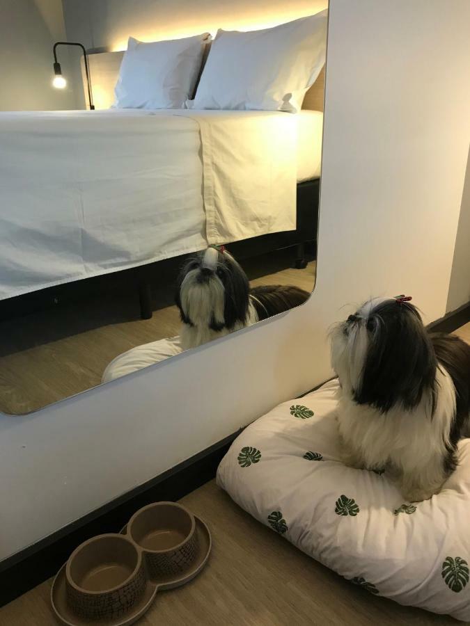 Naalt Hotel ジョインヴィレ エクステリア 写真